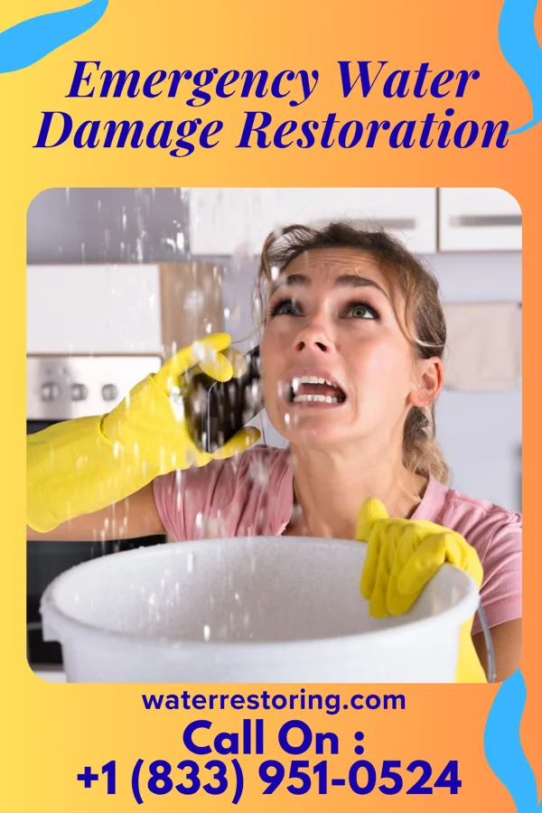 Emergency Water Damage Restoration in Jellico, TN