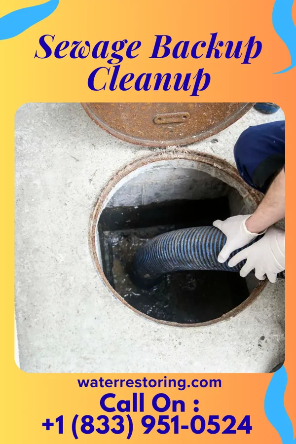 Sewage Backup Cleanup in Jellico, TN