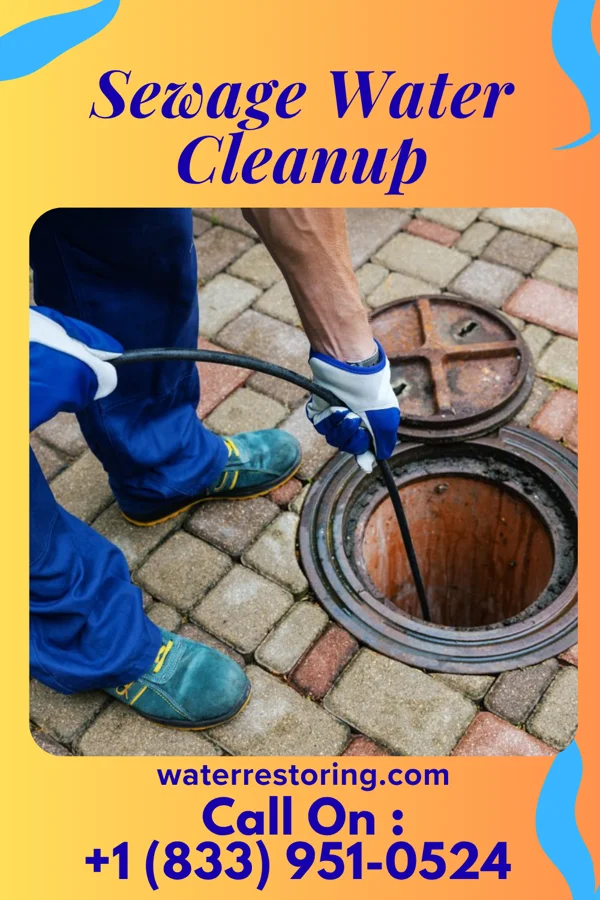 Sewage Water Cleanup in Jellico, TN
