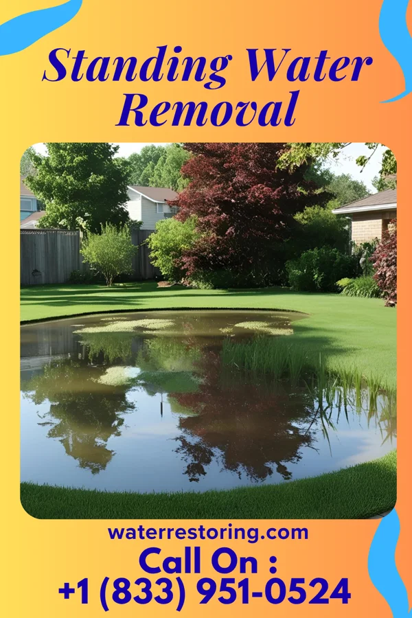 Standing Water Removal in Jellico, TN